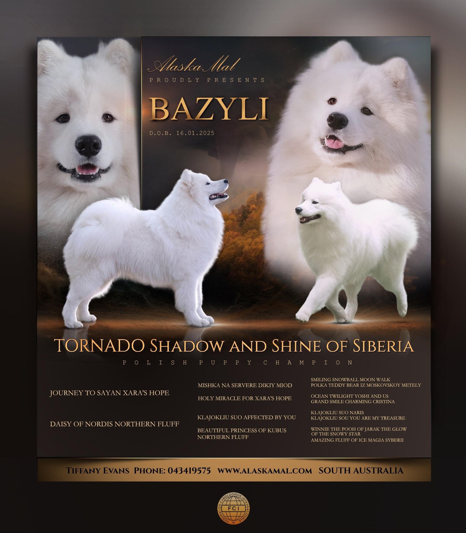 Bazyli_arrival